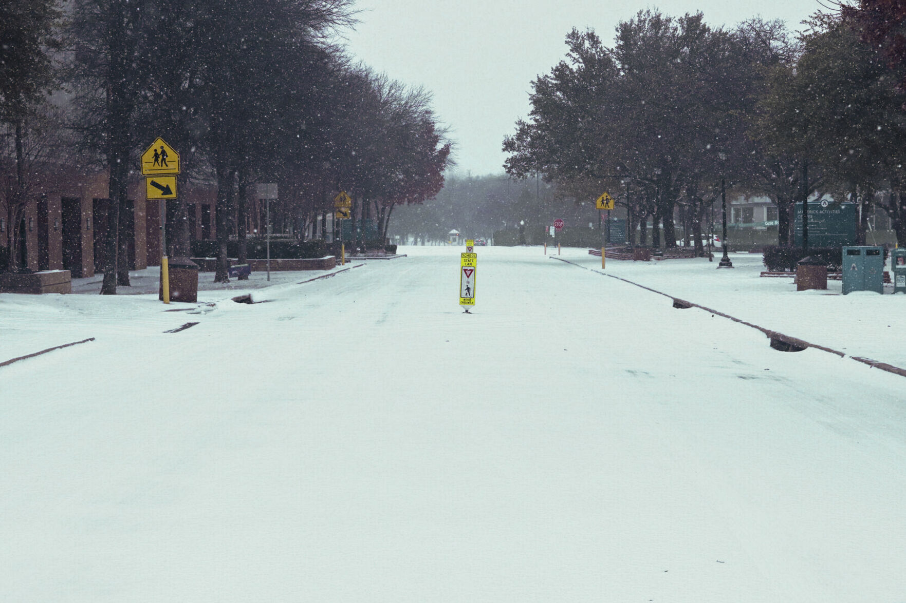 Photos: UTA students take advantage of the snowfall blanketing campus